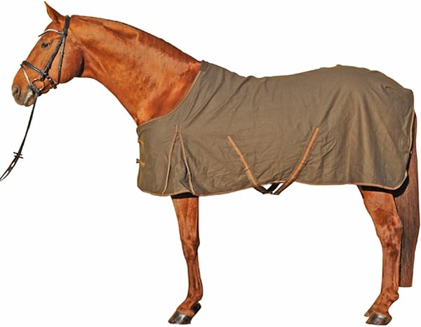 HKM 3030 155 Couverture de Transition pour Cheval Noir - 5