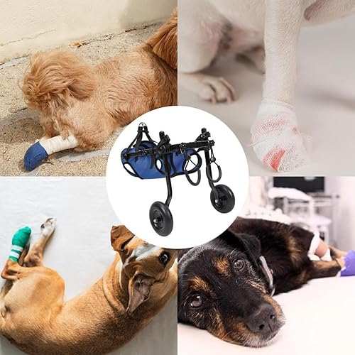 Miniatura 6 de Silla de ruedas para perros para patas traseras, perros de tamaño pequeño, silla de ruedas para perro, extremidad trasera, pierna trasera,