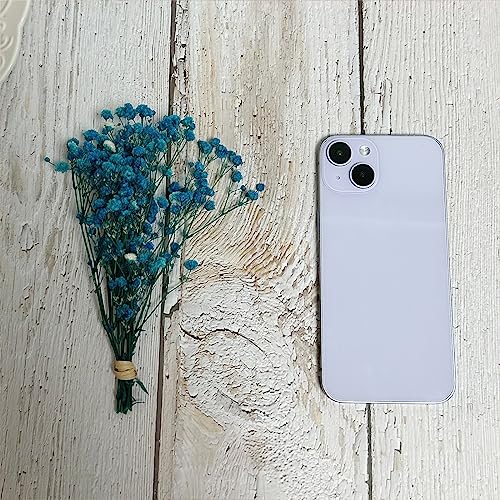 6 piezas Ramo Mini Gypsophila preservada azul miniatura 3