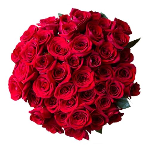 Arabella Bouquets 50 Red Roses Bulk Fresh Flowers thumb #3