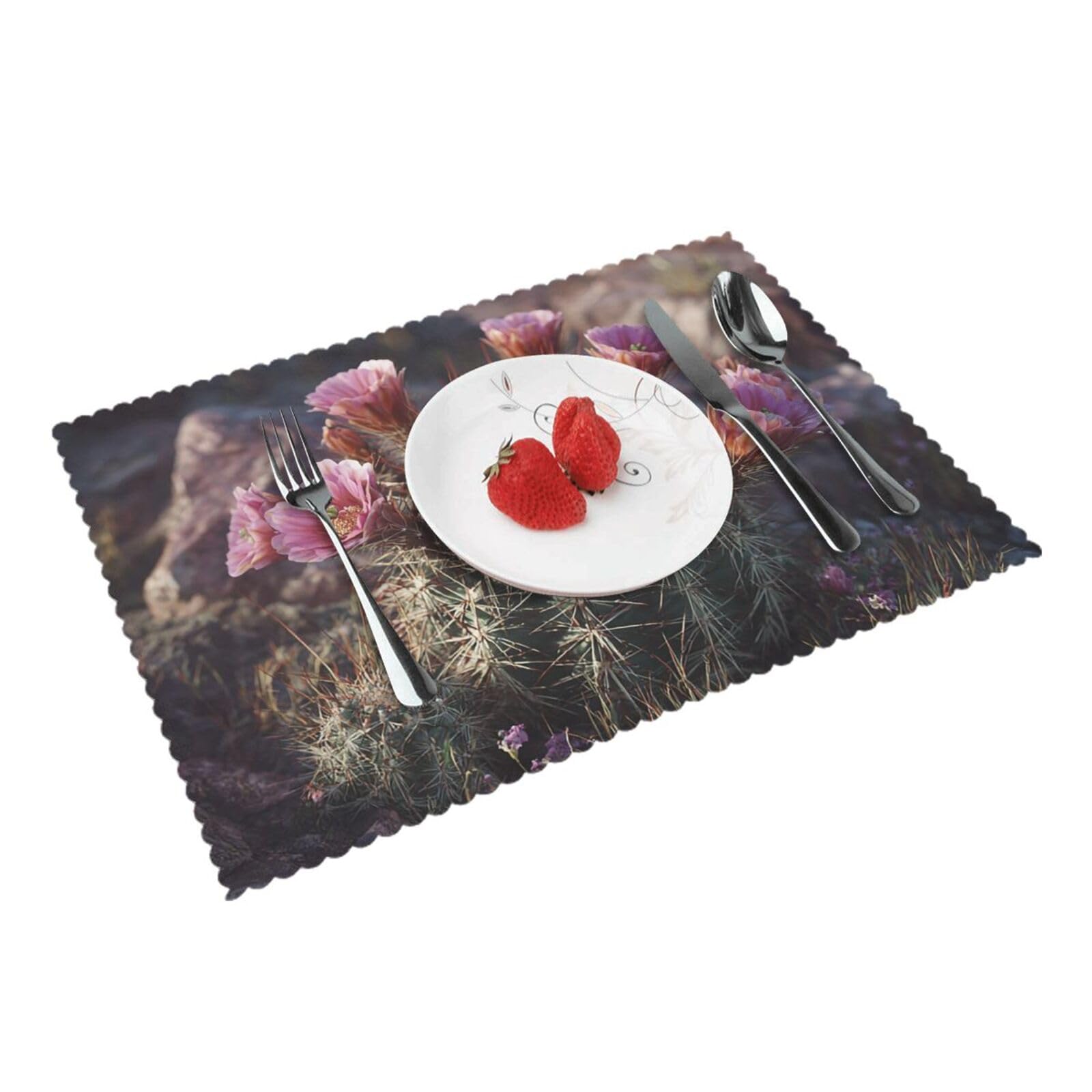 Placemats Set of 4 Heat Resistant Non-Slip Place Mats for Dining Table Hedgehog Cactus Placemats Washable Woven Table Mats Wipeable Placemat for Kitchen Decoration 30 x 45 cm
