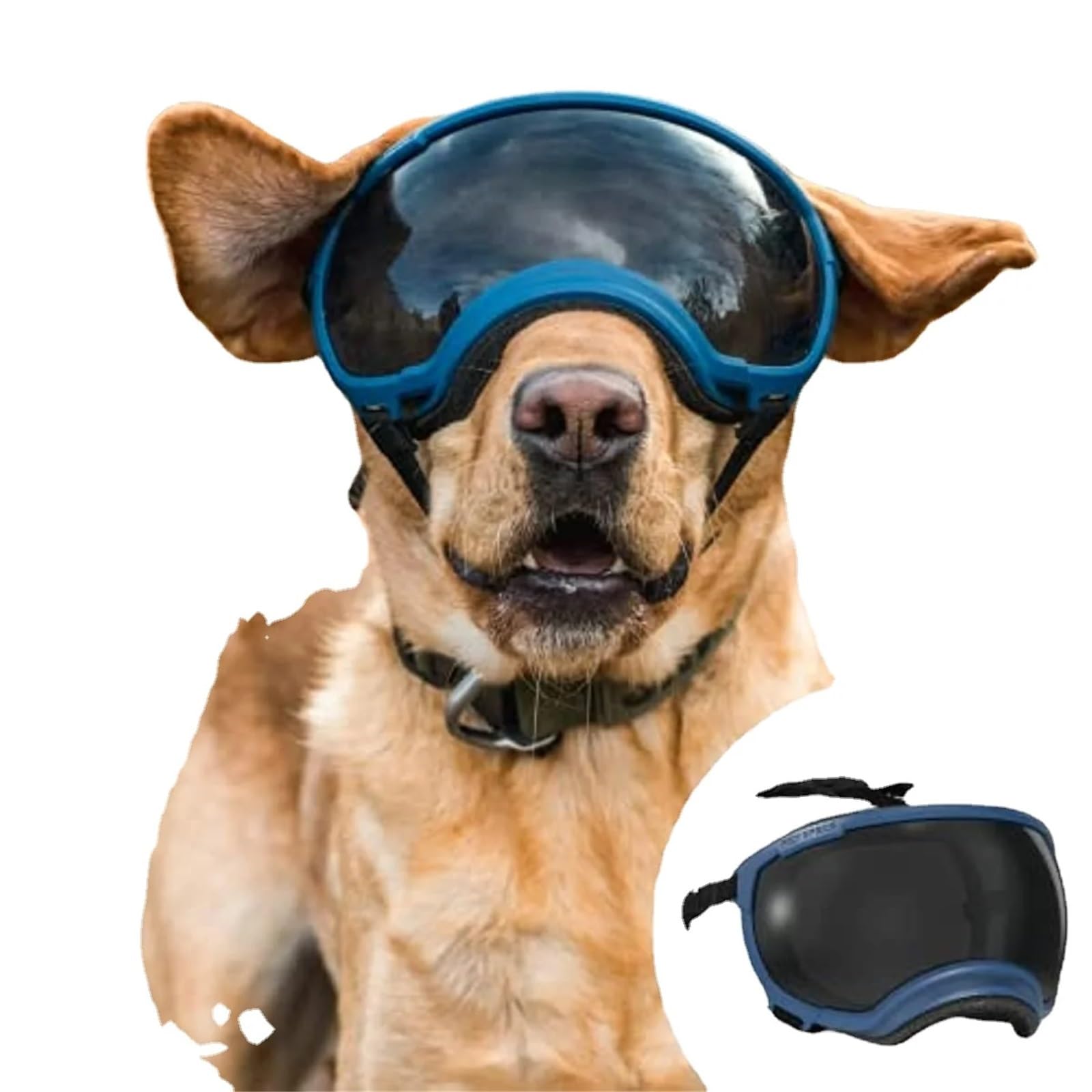 Hundebrille,Hundebrille FüR Kleine Hunde Hundebrille, Anti-UV, Starke Schlagfestigkeit, verstellbare, elastische, atmungsaktive Haustier-Sonnenbrille(Blue and Silver,S)
