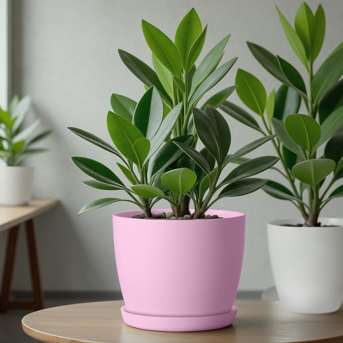 KADAX Maceta con Plato y Plato para Cactus, helechos (30 cm, Rosa) — view 3