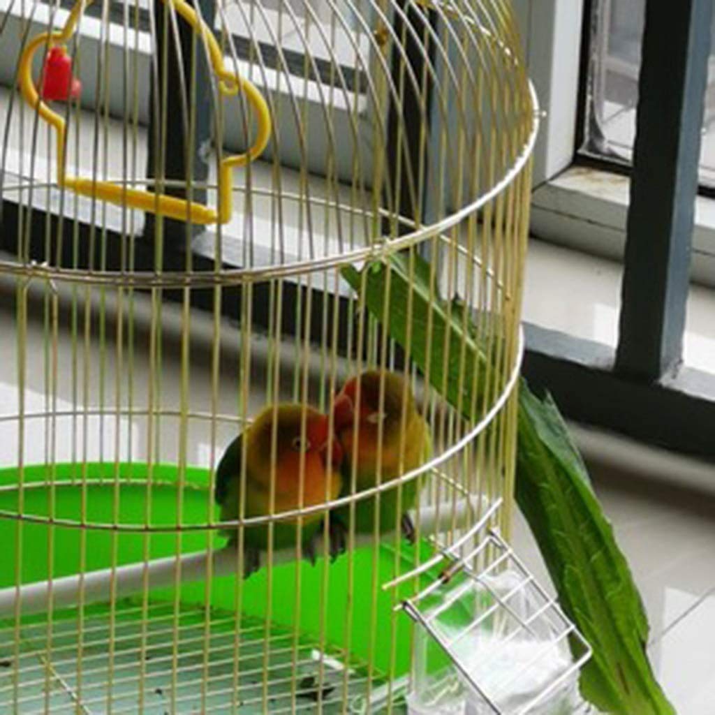 Gabbia per Uccelli da Viaggio, Gabbia per pappagalli, Regalo per Gli Amanti degli Uccelli, Gabbie per Uccelli per parrocchetti con Supporto, Gabbie per Uccelli Ornamentali convenienti, Verde