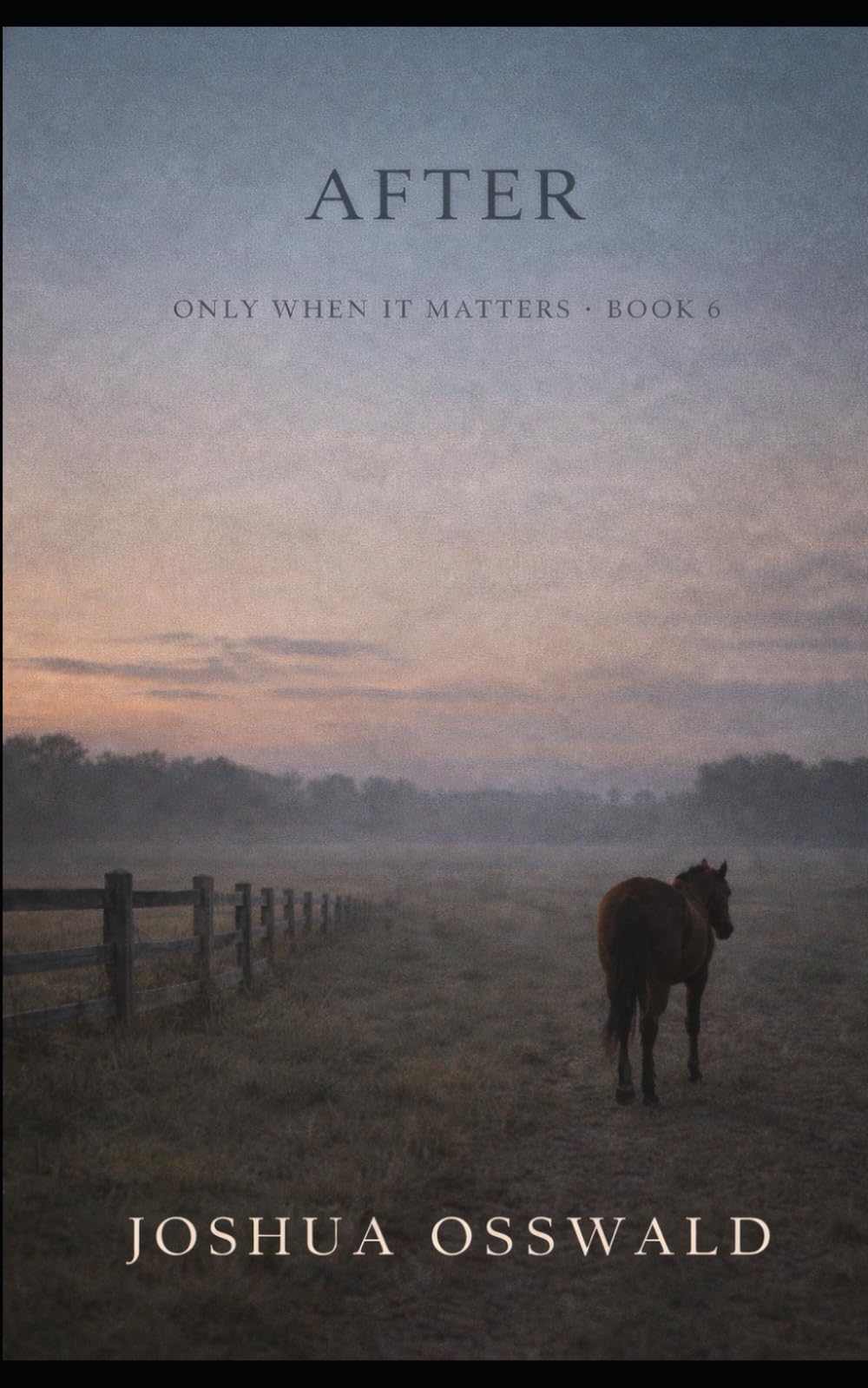 AFTER: ONLY WHEN IT MATTERS SERIES BOOK 6