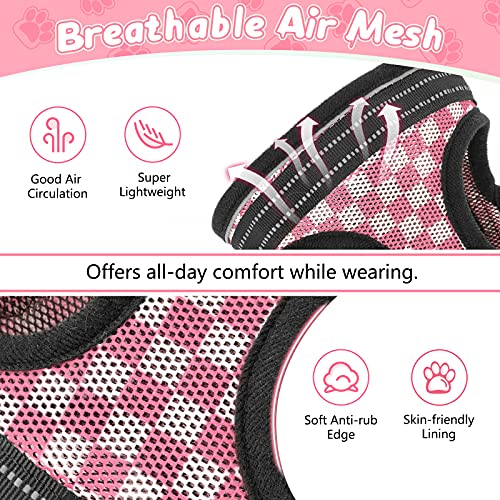 rabbitgoo Cat Harness and Leash, Escape Proof Cat Walking Harness, Adjustable Soft Mesh Kitty Vest Harness for Cats… - Image 4