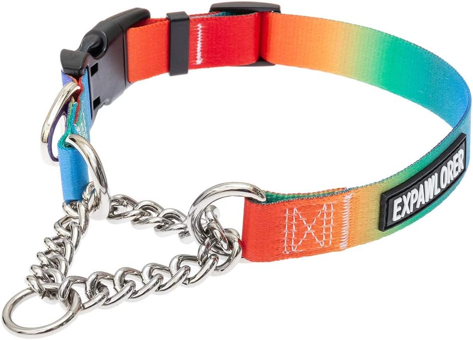 EXPAWLORER Martingale Dog Collar with Chain - Adjustable Slip Collar with Stainless Steel Chain for Dog Training, Colorful Pet Choke…