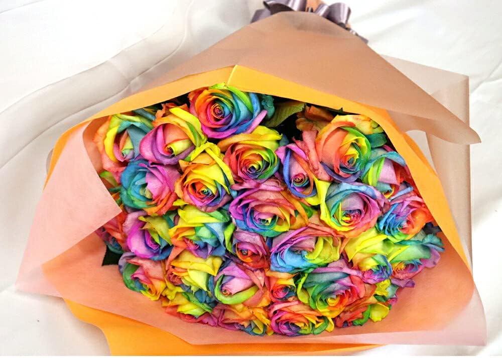 ［現品］【希少】7番　アロエ　ラモシシマ　幹立　8号　大型　レア　羅紋錦　多肉 現品］【希少】7番 アロエ ラモシシマ 幹立 8号 大型 レア 羅紋