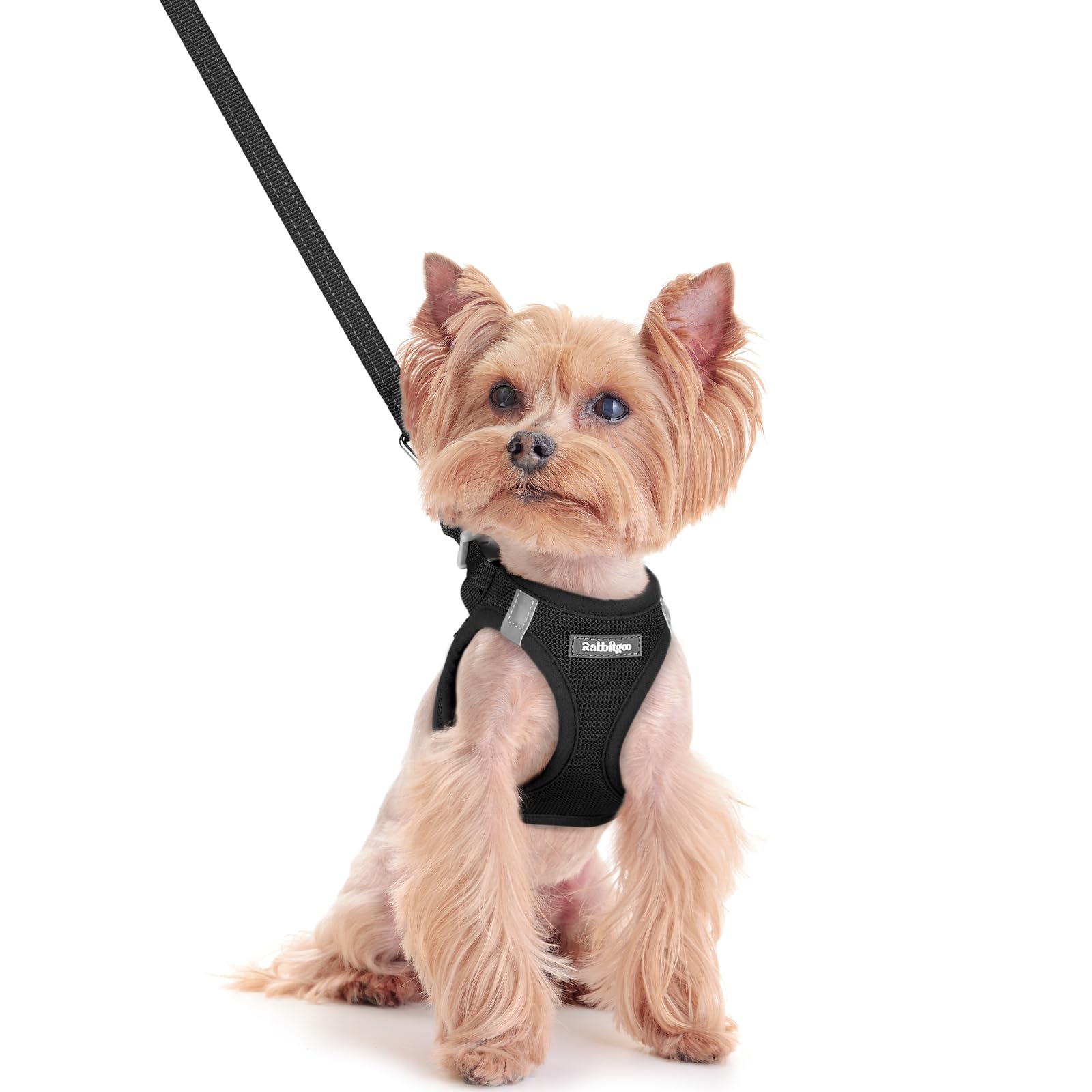 rabbitgoo Dog Harness Small Dog and Leash Set, Step-in Soft Mesh Puppy Harness with Reflective Strips, Lightweight Breathable Pet Vest for Walking Training, Black, XXS — image 1