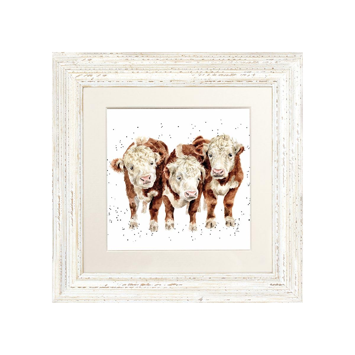 Wrendale Designs Framed Greeting Card Paddy, Perco and Pedro - Cow Print (Distressed White Frame)