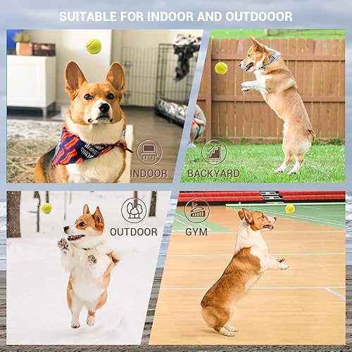 Miniatura 7 de Lanzador automático de bolas para perros, lanzador de bolas interactivo, máquina de traerlo con 6 bolas incluidas