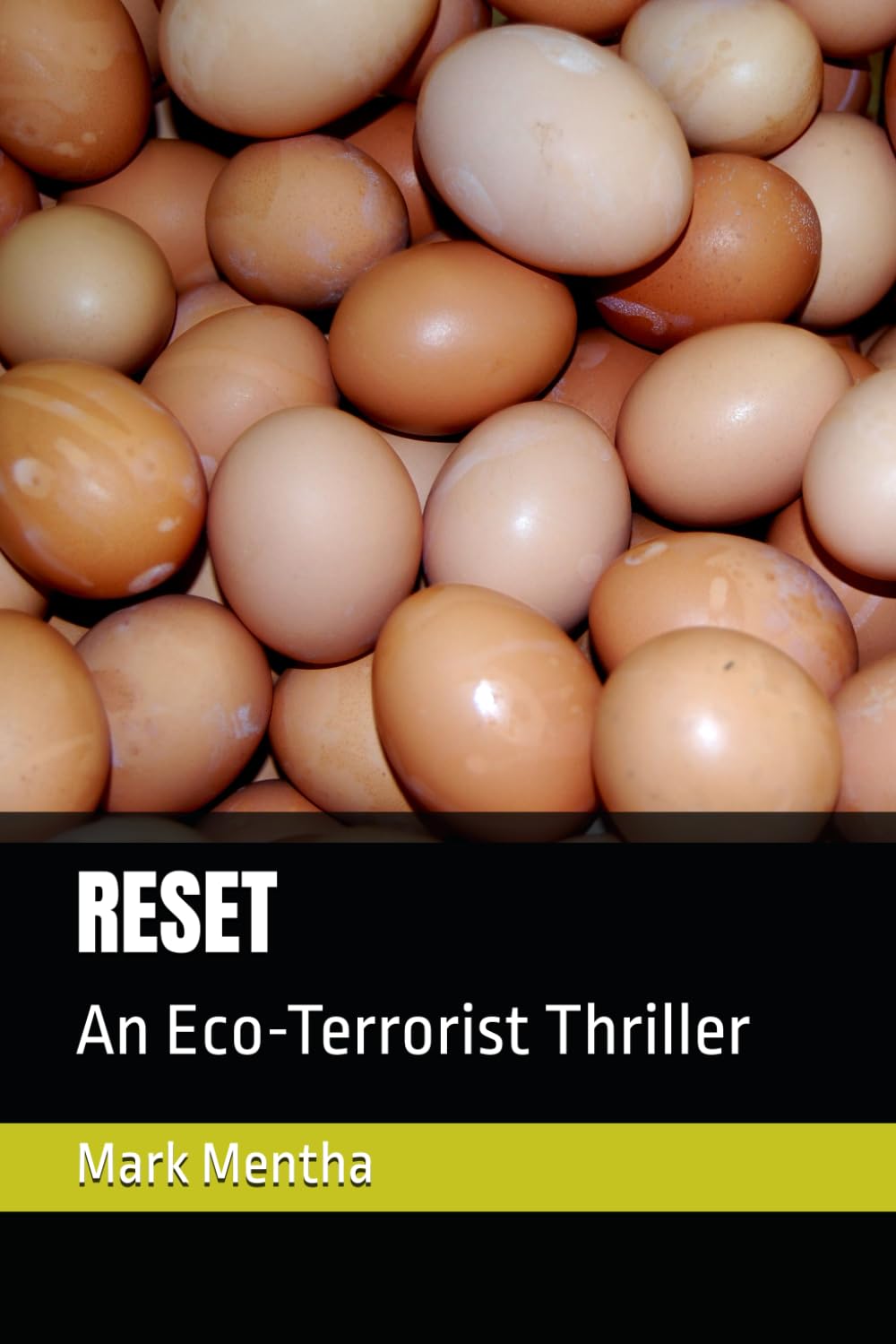 RESET: An Eco-Terrorist Thriller