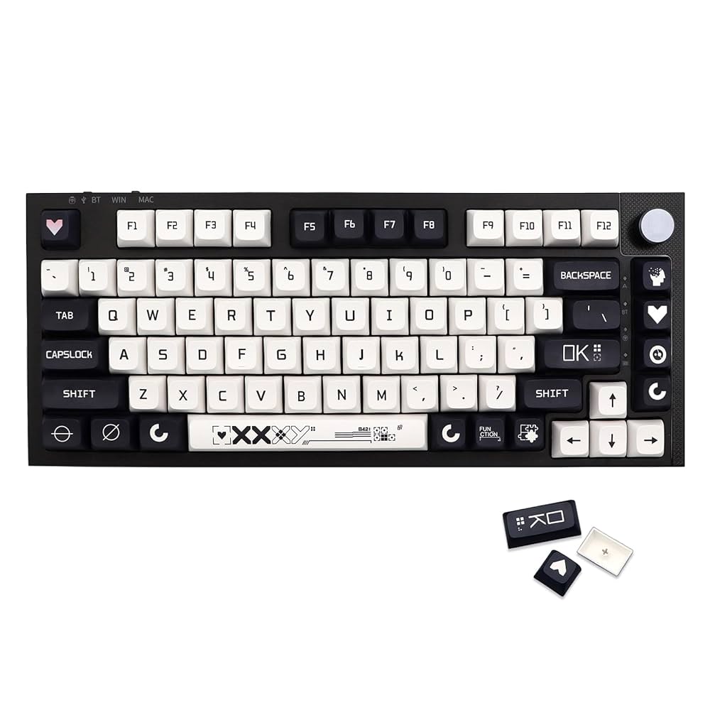 Amazon.co.jp: JSJT キーキャップ XDA プロファイル 白黒キー