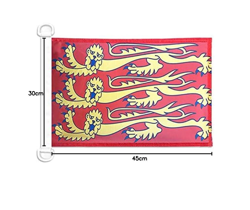 Drapeau Pirate AZ FLAG 45x30cm - Pavillon Corsaire Foulard Rouge - Maille Bloquée Pour Bateau/Extérieur - Anneaux Intégrés