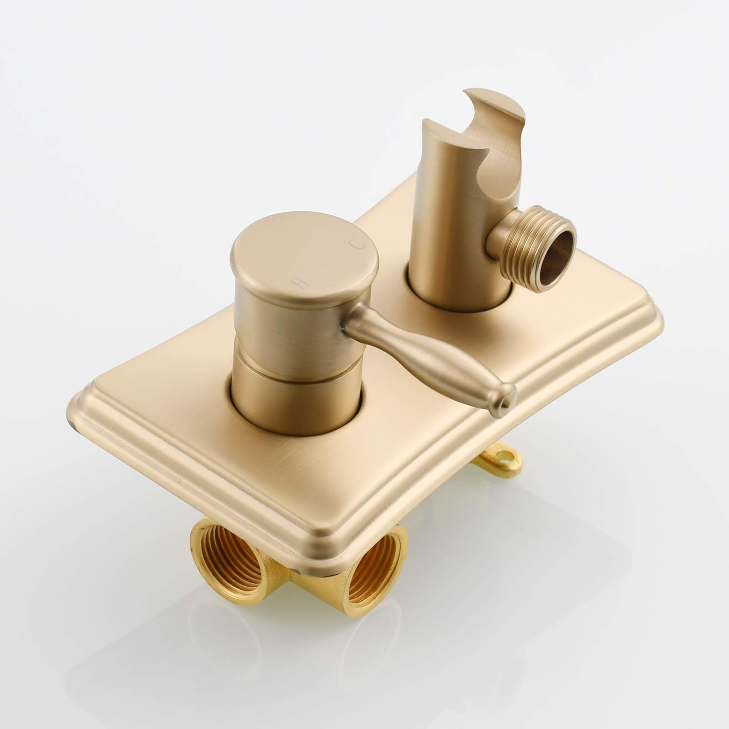 Tecmolog Brushed Gold Hot and Cold Bidet Sprayer Head Handheld Diaper Sprayer Shattaf Bidet Attachment for Toilet, WS035JF