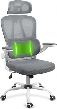 Ergonomic Mesh Office Chair, Headrest, Lumbar Support, Flip-up Arms