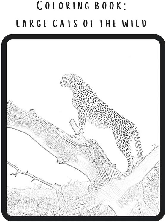 Coloring book: Large cats of the wild: Real pictures of wild animals transferred into magnificent coloring pages. from newbie to intermediate.