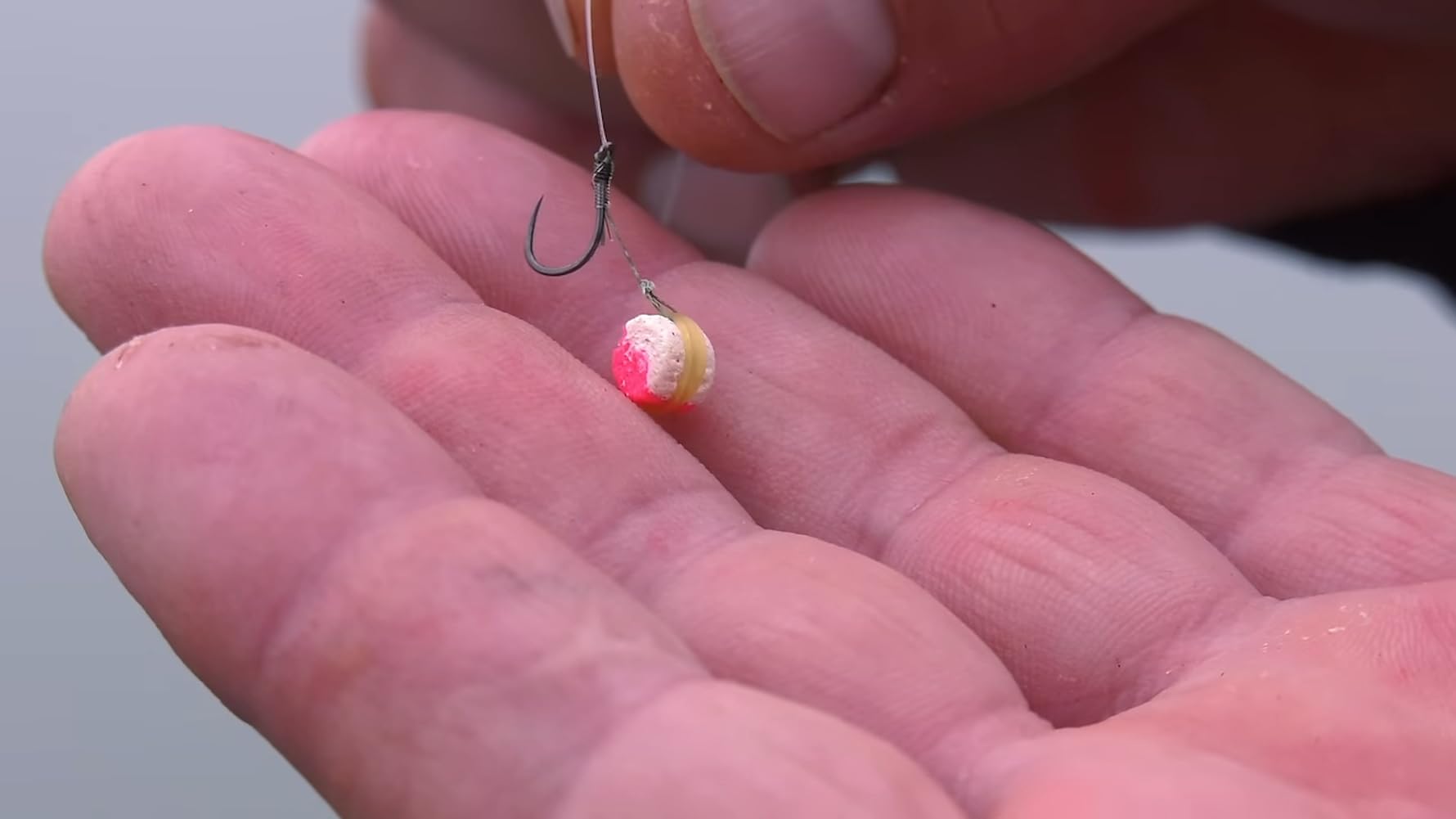 Haldorado Metodo 4S Pellet Competition Carp Fishing Wafter, 5 mm, aroma peperoncino e aglio