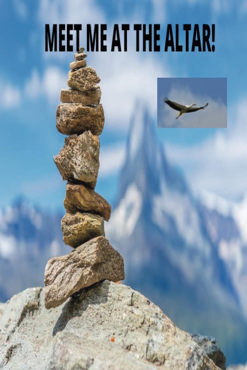 PASTORS WIFE JOURNAL