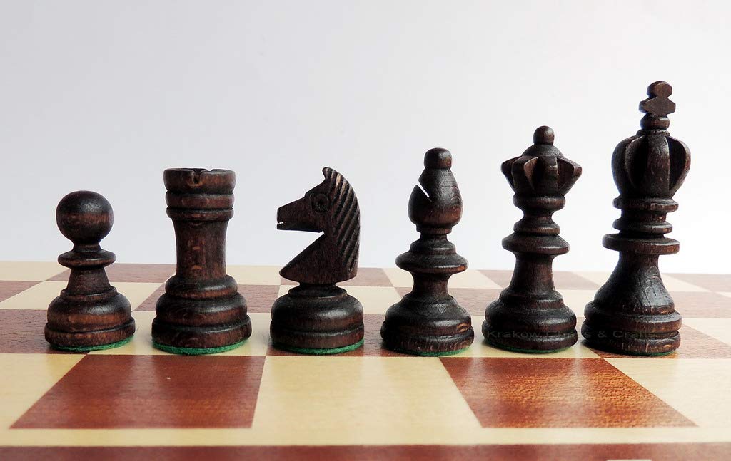 Master of Chess Echiquier Bois Olympique 35 cm - Tournoi Jeu D'échecs - Fait Main Jeu Echec - Echecs en Bois Pliable - Jeux D'echec pour Enfants et Adultes