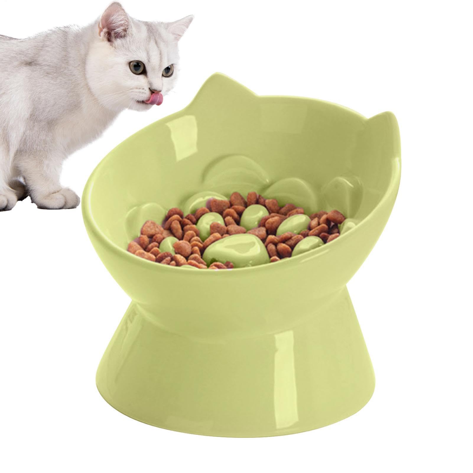 Gamelle Surélevée Pour Chat Distributeur De Nourriture Lente En Céramique