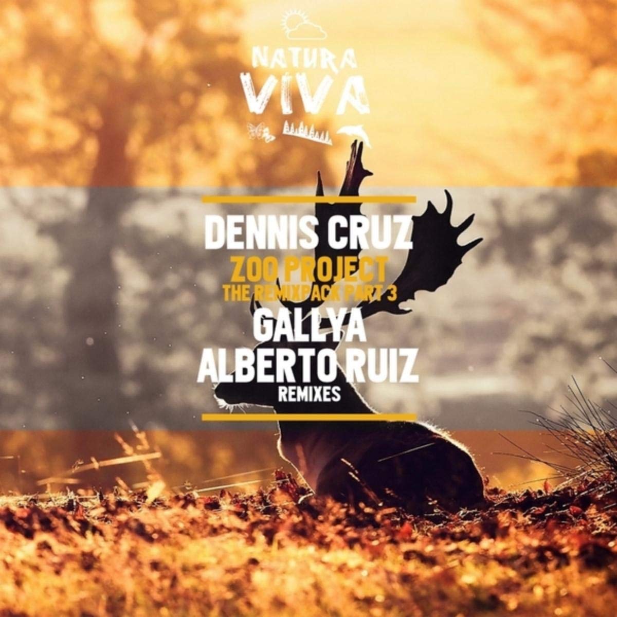 Zoo Project (Alberto Ruiz Remix)
