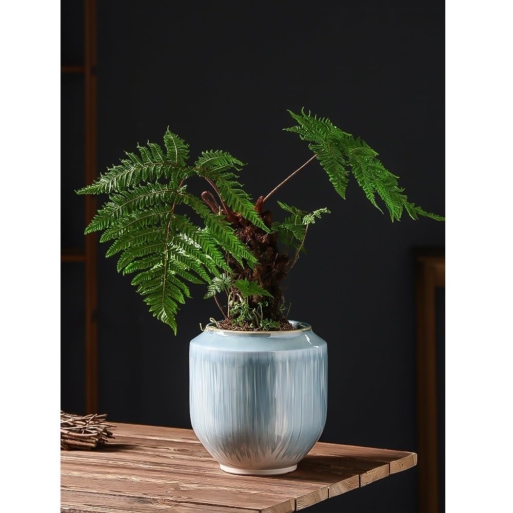 doniczka Prosta domowa chińska ceramiczna doniczka, lekkie luksusowe bonsai, doniczkowa sadzarka, do roślin