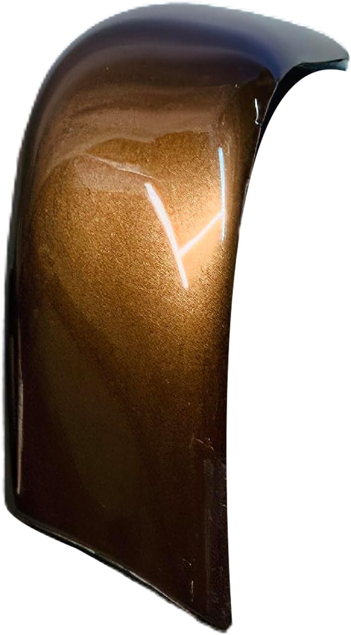 ADVANCE IGNITION Right Passenger Updraded Roof Corner Molding Trim Compatible with Ford 08-16 F-250 F-350 F-450 F-550 Super Duty (Regular Cab & Crew Cab) JQ Golden Bronze Metallic