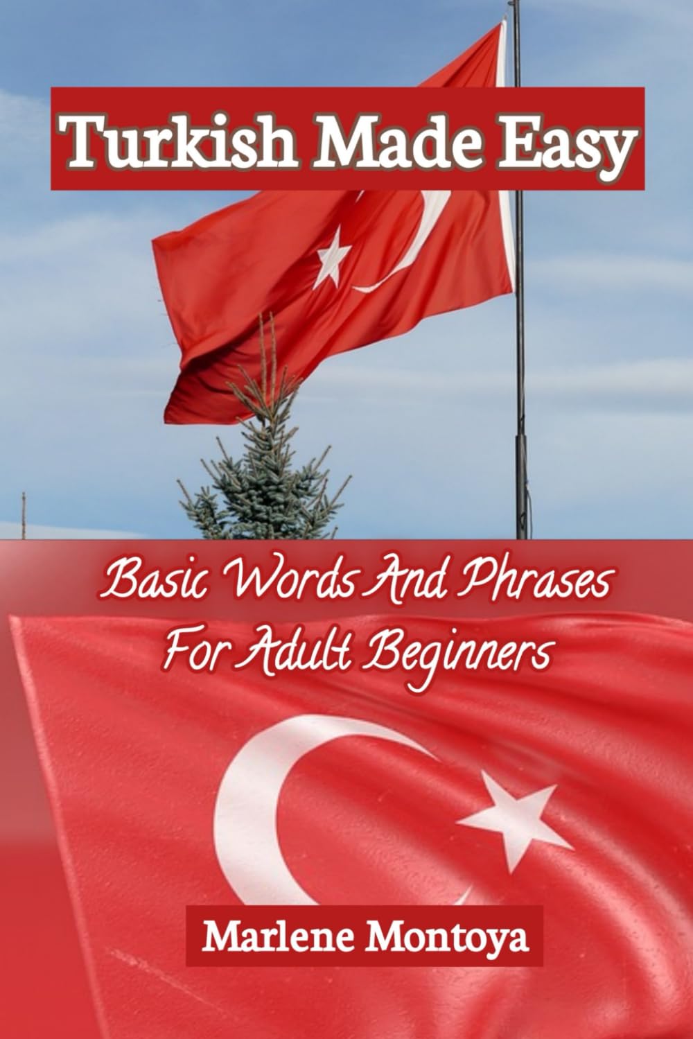 Turkish Made Easy: Basic Words And Phrases For Adult Beginners