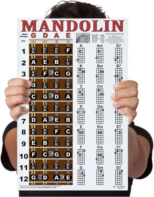 Laminated Mandolin Fretboard Notes & Easy Beginner Chord