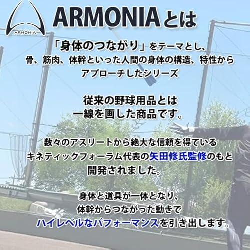 20%OFF 野球 アイピーセレクト 硬式 硬式投手 グローブ 硬式グローブ 高校野球対応 グラブ ステアレザー ア 2枚目