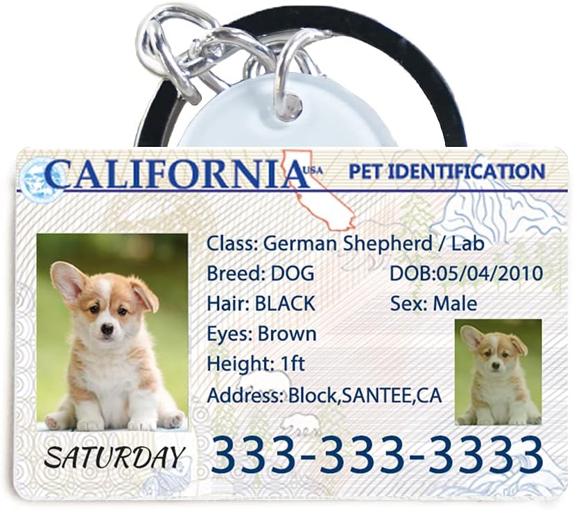 pet id license