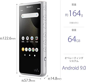 Amazon.co.jp: ソニー ウォークマン 64GB ZXシリーズ NW-ZX507