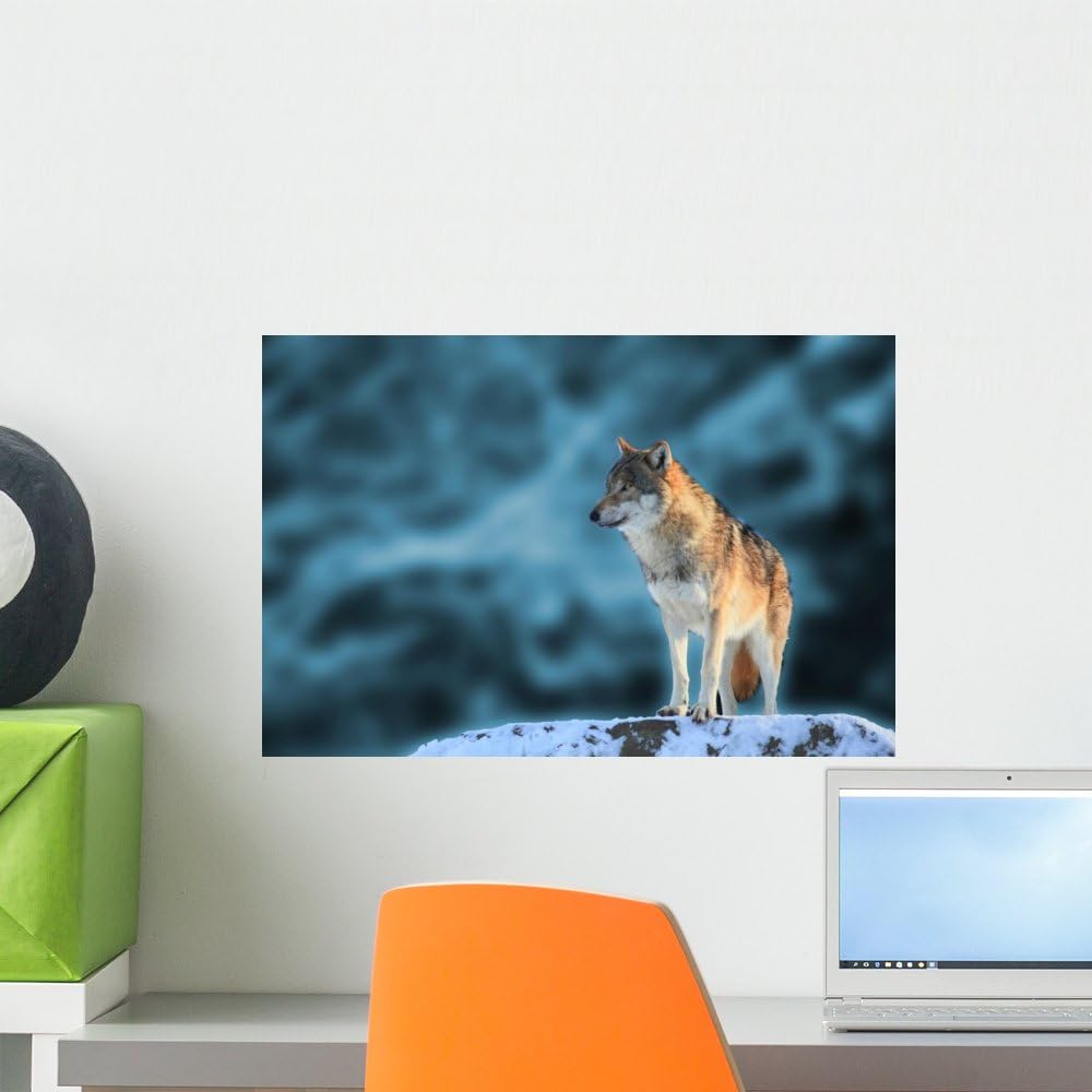 Wolf Wall Mural Wallmonkeys Peel and Stick Graphic (18 in W x 12 in H) WM335607