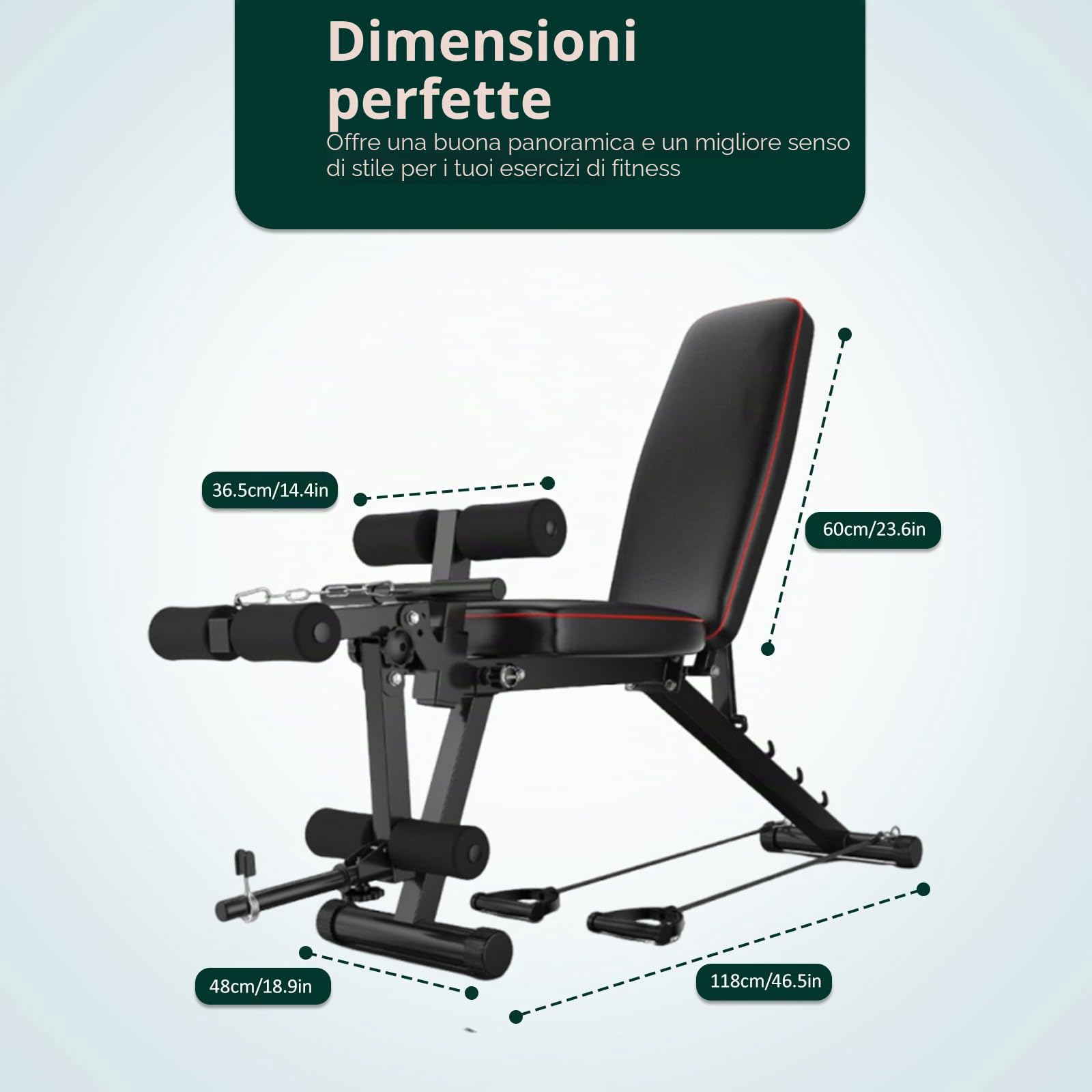 Panca Addominali Panca Posturale Panca Fitness con Imbottitura in Schiuma ad Alta densità, Attrezzatura compatta per Palestra Domestica per distensioni con manubri/Curl/Sollevamento Gambe