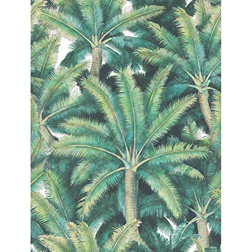 VILBER Papel pintado, estampación digital sobre tejido-no tejido, pvc free, tintas ecológicas hp latex. Ancho especial de 68 cm x10 m. de largo. Cubre 6,80 m2. PALMS.2276 W-01