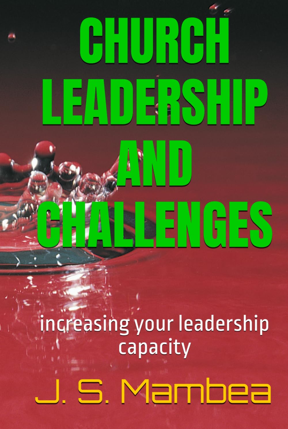 CHURCH LEADERSHIP AND CHALLENGES: increasing your leadership capacity