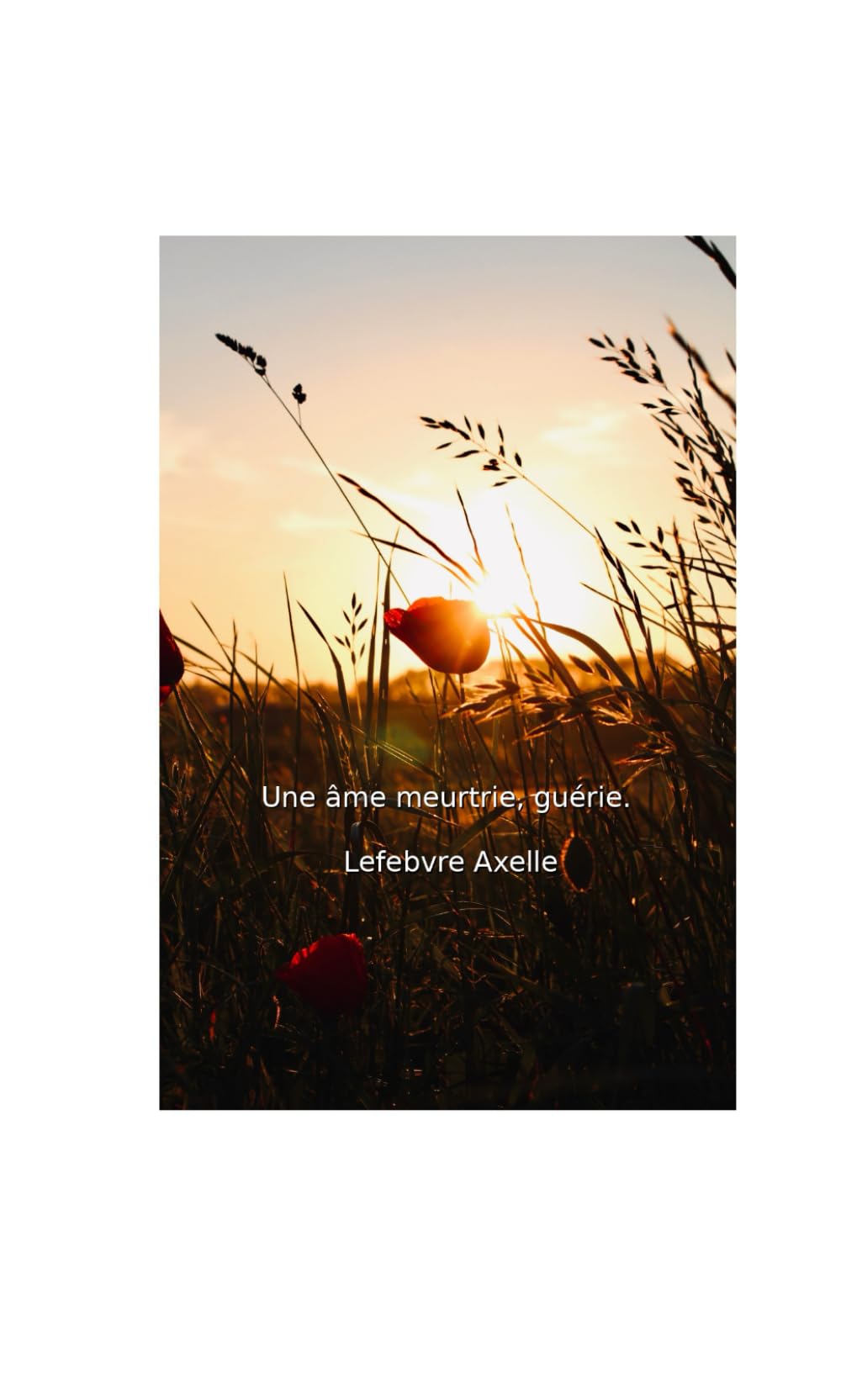 Une âme meurtrie, guérie.
