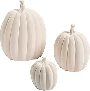 backpac
