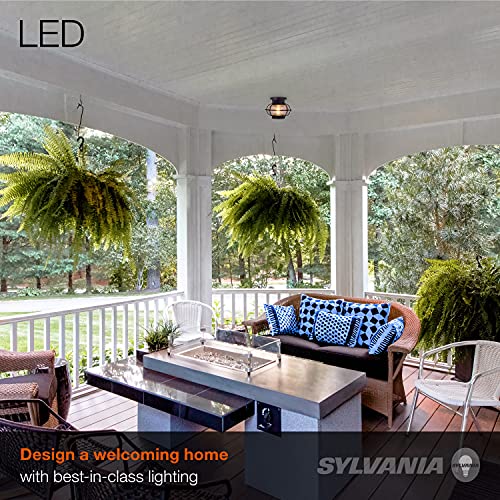 Ledvance Sylvania Vintage Essex Cage Light Fixture, Semi-Flush Mount With 1 60W Led Dimmable Bulb Included, Dimmable (75515), Antique Black #TOP4