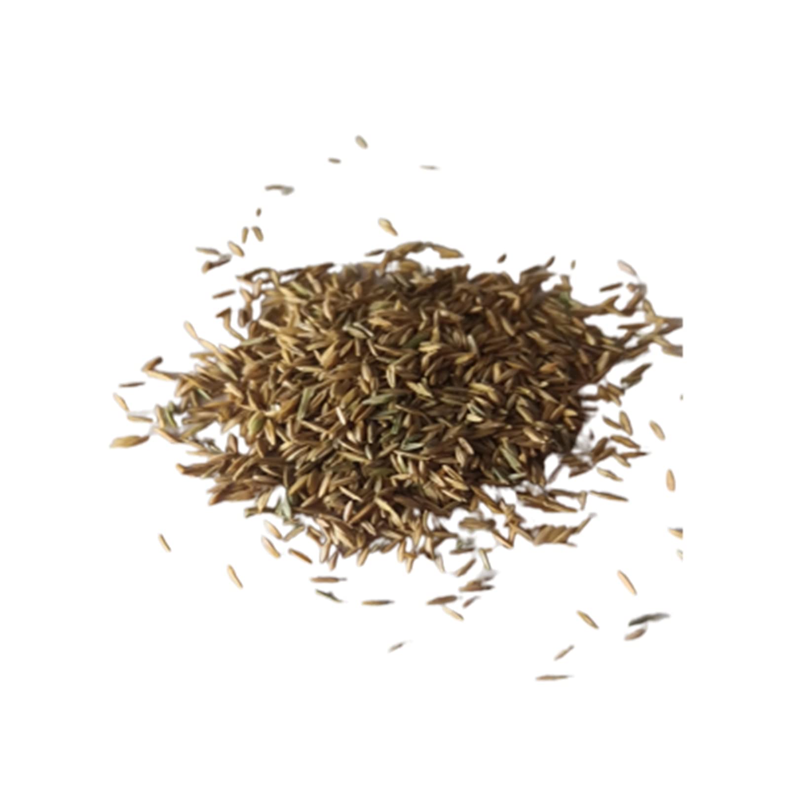 Saterkali Graines d'herbe d'eau d'aquarium, 100pcs graines d'herbe d'eau d'aquarium décor de paysage de plante hydrophile de réservoir de poissons Grosses graines poilues