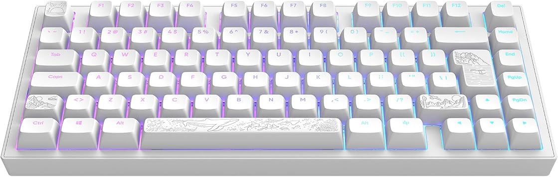 Dark Project ALU81A TERRA NOSTRA Mechanical Gaming Keyboard | ISO Multi | Hot-Swap | G3MS Moonstone Greased Switches | Greased Stabilisers | Flex Gasket Mount | Aluminum | 75% 81keys | RGB | Wired