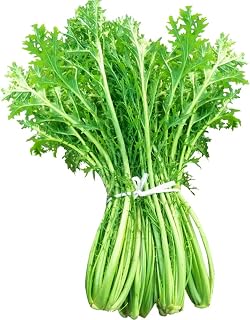 Salted Vegetable Plants Seeds 2000pcs Organic Brassica Juncea Small Leaves Fresh Premium Easy to Grow Seeds for Planting Garden Yard Outdoor