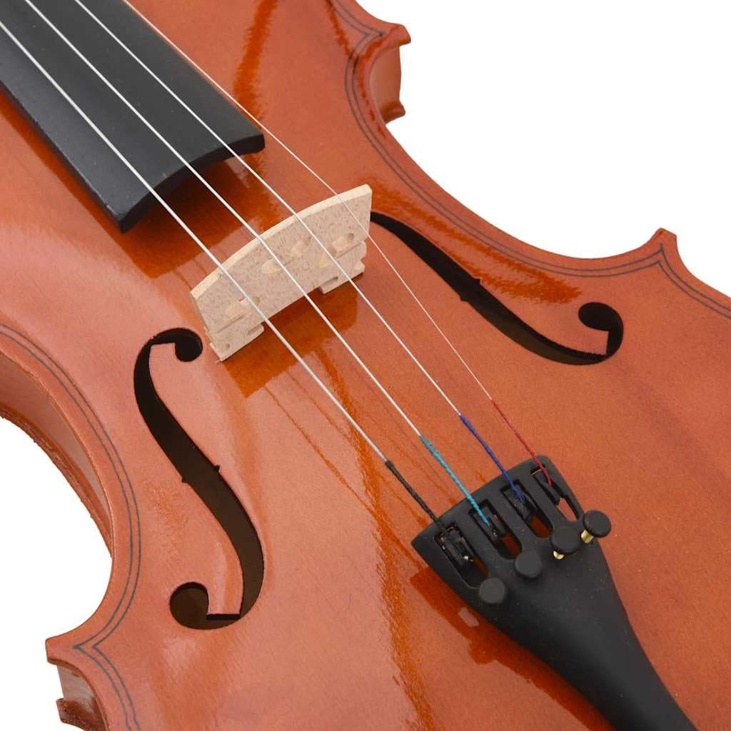 Violine Komplettset mit Bogen Kinnhalter Softbox Dunkles Holz 4/4 für Anfänger und Profis, inklusive Kolophonium Schulterstütze, Etui, geeignet für Kinder, Erwachsene, Schüler, Konzert