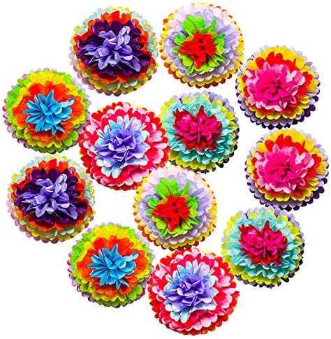 Cinco De Mayo Decorations Fiesta Tissue Pom Paper Flowers - Mexican Carnival Rainbow Theme Party Supplies 16" (Set of 12)