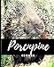 Porcupine Recipes