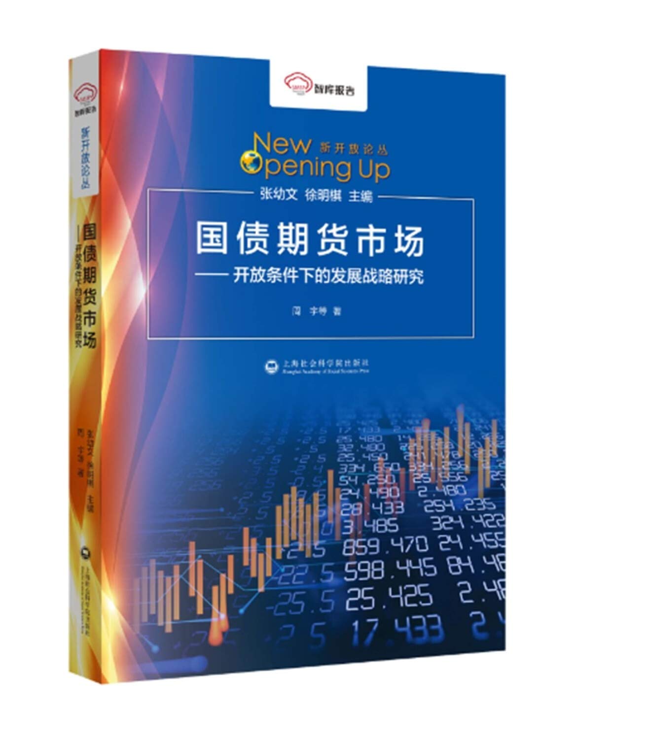国债期货市场-开放条件下的发展战略研究/新开放论丛: Amazon.de: Books