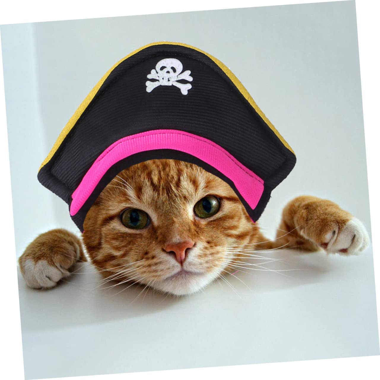 INOOMP 5sets Costume Creativo Per Animali Domestici Con Design Da Pirata Abbigliamento Per Cani e Gatti Resistente Cappello Decorativo Per Festività e Attività All Aperto