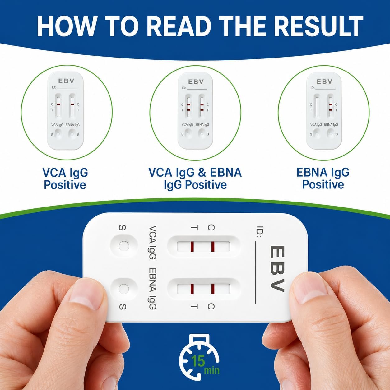 EBV At-Home Test，VCA IgG & EBNA IgG Self-Check，Quick Results Within 15 Minutes，Highly Accurate，Easy to Read and use