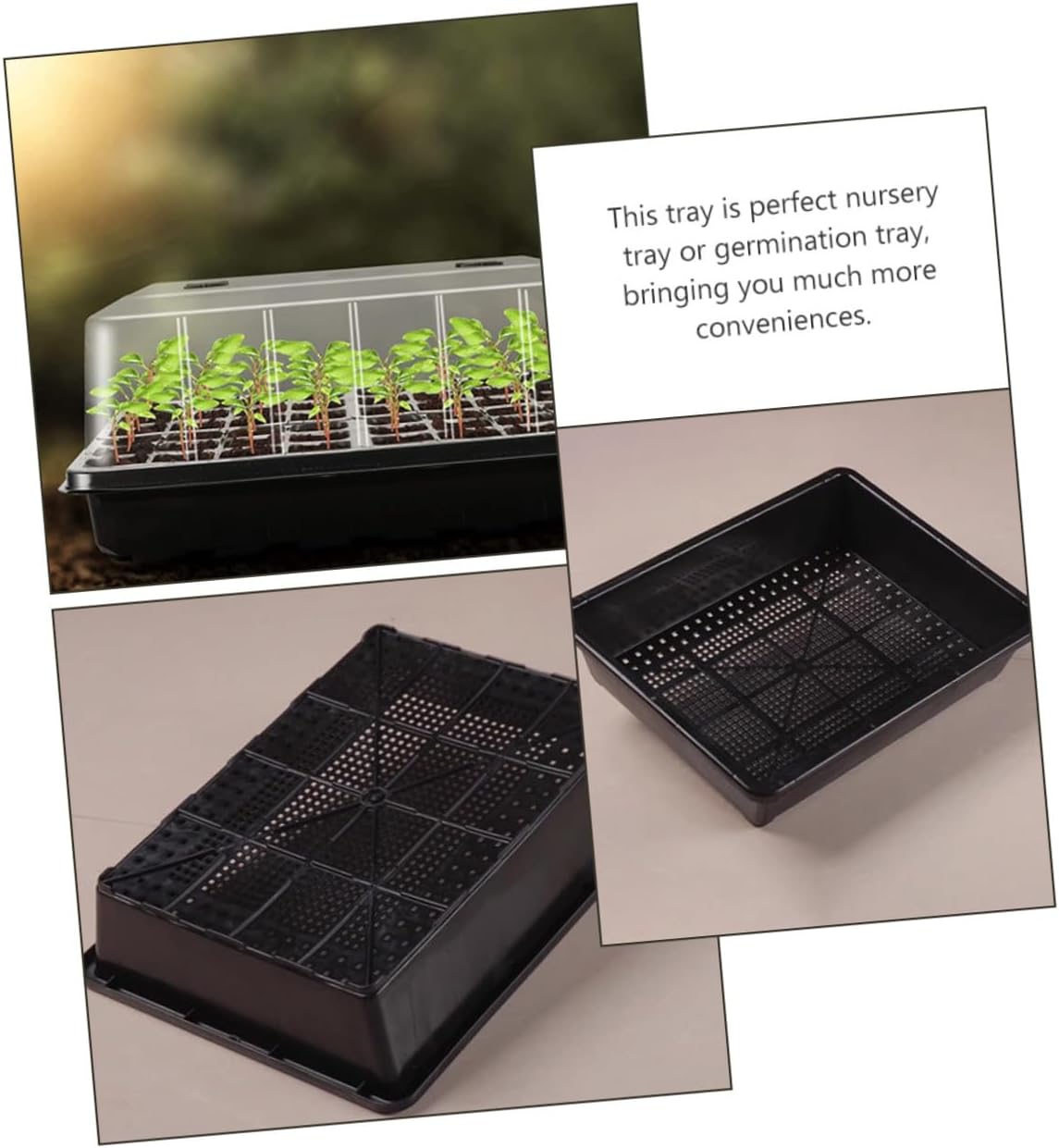 TIDTALEO Seedling Nursery Tray Set with Dome Cover Plastic Germination and Planting Trays for Succulents and Carnivorous Plants for Indoor Garden Starting